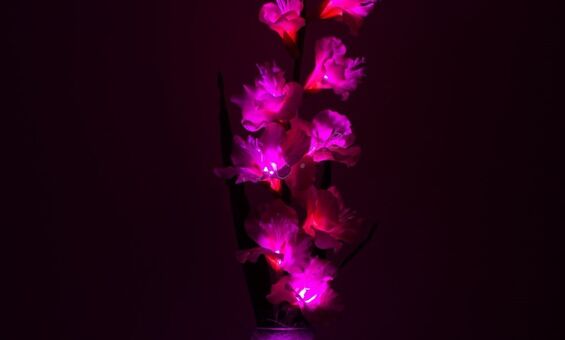 Светодиодные цветы - гладиолусы