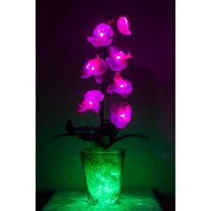 Светодиодные цветы - орхидеи