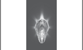 Светильник Brilliance CR047, Кристалл/Хром, Gu5.3 0